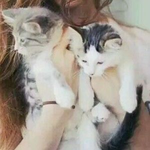 Meet your Posher, April